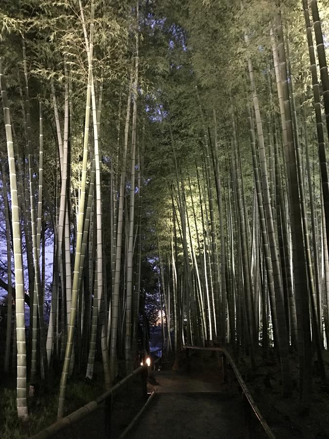 Sakuraya-Inn Oszaka Kültér fotó